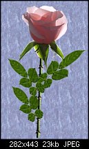Click image for larger version. 

Name:	Rose Assembly.jpg 
Views:	143 
Size:	22.8 KB 
ID:	26147