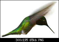 Click image for larger version. 

Name:	Hummingbird3.png 
Views:	162 
Size:	64.6 KB 
ID:	26148