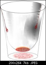 Click image for larger version. 

Name:	empty beerglass(edited).JPG 
Views:	781 
Size:	6.6 KB 
ID:	27251
