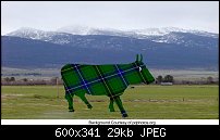 Click image for larger version. 

Name:	highland_cow.jpg 
Views:	237 
Size:	29.2 KB 
ID:	27732