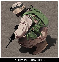 Click image for larger version. 

Name:	Soldier.jpg 
Views:	397 
Size:	61.1 KB 
ID:	29469