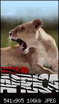 Click image for larger version. 

Name:	wild africa.jpg 
Views:	329 
Size:	105.6 KB 
ID:	31048