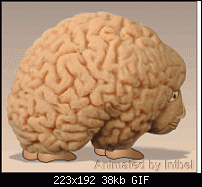 Click image for larger version. 

Name:	Brain.gif 
Views:	232 
Size:	38.5 KB 
ID:	31928