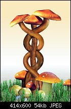 Click image for larger version. 

Name:	mushrooms.jpg 
Views:	371 
Size:	54.1 KB 
ID:	33977