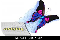 Click image for larger version. 

Name:	butterfly.jpg 
Views:	414 
Size:	29.6 KB 
ID:	34801