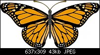 Click image for larger version. 

Name:	monarch_butterfly.jpg 
Views:	426 
Size:	43.2 KB 
ID:	34802