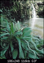 Click image for larger version. 

Name:	waterfallpunch.gif 
Views:	651 
Size:	115.5 KB 
ID:	35324