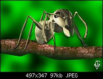 Click image for larger version. 

Name:	Ant.jpg 
Views:	360 
Size:	96.6 KB 
ID:	362