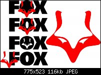Click image for larger version. 

Name:	fox3.jpg 
Views:	265 
Size:	115.6 KB 
ID:	37106