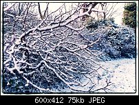 Click image for larger version. 

Name:	snow.jpg 
Views:	289 
Size:	74.8 KB 
ID:	3743