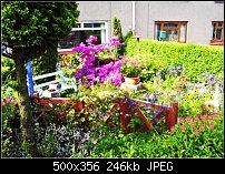 Click image for larger version. 

Name:	My_Garden2.jpg 
Views:	211 
Size:	246.3 KB 
ID:	38259