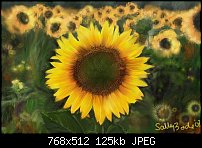 Click image for larger version. 

Name:	sunflower2post.jpg 
Views:	333 
Size:	125.5 KB 
ID:	38324