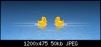 Click image for larger version. 

Name:	two-ducks-playing-chicken.jpg 
Views:	722 
Size:	49.5 KB 
ID:	38365