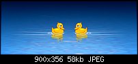 Click image for larger version. 

Name:	2-ducks-playing-chicken-small.jpg 
Views:	661 
Size:	58.1 KB 
ID:	38500