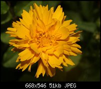 Click image for larger version. 

Name:	Orange003.jpg 
Views:	183 
Size:	51.4 KB 
ID:	39146