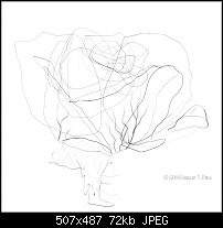 Click image for larger version. 

Name:	rosepeachwireframe.jpg 
Views:	454 
Size:	72.0 KB 
ID:	4074