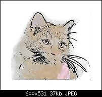 Click image for larger version. 

Name:	cat vector.jpg 
Views:	402 
Size:	36.6 KB 
ID:	41020