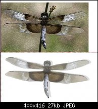 Click image for larger version. 

Name:	dragonfly explained.jpg 
Views:	102 
Size:	26.7 KB 
ID:	41090