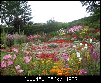 Click image for larger version. 

Name:	Garden.jpg 
Views:	197 
Size:	255.7 KB 
ID:	41152