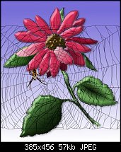 Click image for larger version. 

Name:	Spider_Flower.jpg 
Views:	521 
Size:	56.7 KB 
ID:	4368