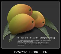 Click image for larger version. 

Name:	mango.jpg 
Views:	941 
Size:	121.5 KB 
ID:	44478