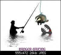 Click image for larger version. 

Name:	badger.jpg 
Views:	421 
Size:	25.6 KB 
ID:	44844