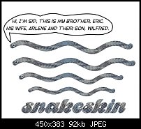 Click image for larger version. 

Name:	snakeskin.jpg 
Views:	233 
Size:	91.9 KB 
ID:	44893