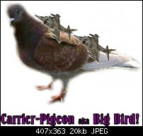 Click image for larger version. 

Name:	carrier_pigeon.jpg 
Views:	178 
Size:	19.6 KB 
ID:	45205