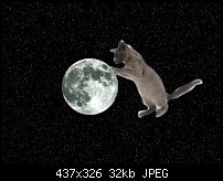 Click image for larger version. 

Name:	cateclipse.jpg 
Views:	238 
Size:	32.1 KB 
ID:	45751