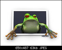 Click image for larger version. 

Name:	frog.jpg 
Views:	388 
Size:	63.3 KB 
ID:	46164