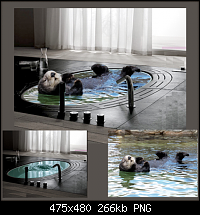 Click image for larger version. 

Name:	Otter Hot Tub_02.png 
Views:	243 
Size:	265.6 KB 
ID:	49858