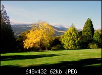 Click image for larger version. 

Name:	autumn_otago_gardens2.JPG 
Views:	247 
Size:	62.4 KB 
ID:	5070