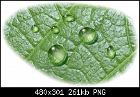Click image for larger version. 

Name:	water drops.png 
Views:	501 
Size:	260.7 KB 
ID:	51224