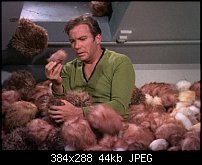 Click image for larger version. 

Name:	tribbles.jpg 
Views:	168 
Size:	43.9 KB 
ID:	51918