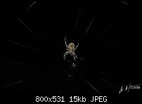 Click image for larger version. 

Name:	1spiderhelpme-a.jpg 
Views:	233 
Size:	15.0 KB 
ID:	51946