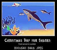 Click image for larger version. 

Name:	sharkchristmas.jpg 
Views:	381 
Size:	84.3 KB 
ID:	54161