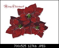 Click image for larger version. 

Name:	Poinsettias.jpg 
Views:	285 
Size:	127.2 KB 
ID:	54420