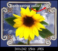 Click image for larger version. 

Name:	Sunflower1a.jpg 
Views:	186 
Size:	15.2 KB 
ID:	54576