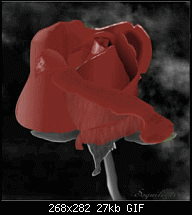Click image for larger version. 

Name:	redrose-masked.gif 
Views:	329 
Size:	27.1 KB 
ID:	55044