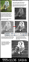 Click image for larger version. 

Name:	www_raster_tutorial.png 
Views:	261 
Size:	141.4 KB 
ID:	557