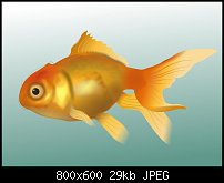 Click image for larger version. 

Name:	GoldfishWIP.jpg 
Views:	370 
Size:	29.1 KB 
ID:	58954