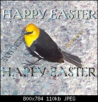 Click image for larger version. 

Name:	easter bird.jpg 
Views:	231 
Size:	109.8 KB 
ID:	59278