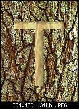 Click image for larger version. 

Name:	cut into bark.jpg 
Views:	341 
Size:	130.6 KB 
ID:	59702