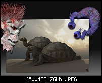 Click image for larger version. 

Name:	turtle ex.jpg 
Views:	149 
Size:	76.4 KB 
ID:	60016