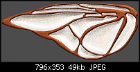 Click image for larger version. 

Name:	Wood Wing.jpg 
Views:	227 
Size:	49.3 KB 
ID:	60809
