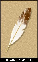 Click image for larger version. 

Name:	feather.jpg 
Views:	313 
Size:	28.5 KB 
ID:	62361