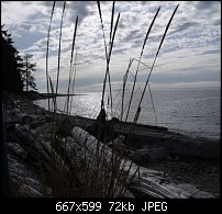 Click image for larger version. 

Name:	Georgia Strait fall scene.jpg 
Views:	164 
Size:	72.3 KB 
ID:	66672