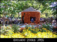 Click image for larger version. 

Name:	pumpkin-house resize.jpg 
Views:	186 
Size:	200.4 KB 
ID:	67901