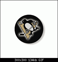 Click image for larger version. 

Name:	pitts_puck.gif 
Views:	990 
Size:	133.9 KB 
ID:	68144