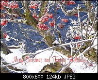 Click image for larger version. 

Name:	HappyHolidays.jpg 
Views:	246 
Size:	123.6 KB 
ID:	68475